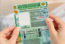 Exame toxicológico será obrigatório para tirar a CNH, a partir de julho