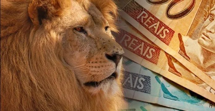 n_43138_fbfd9184d17bd5a70bb3028e9a5bee36