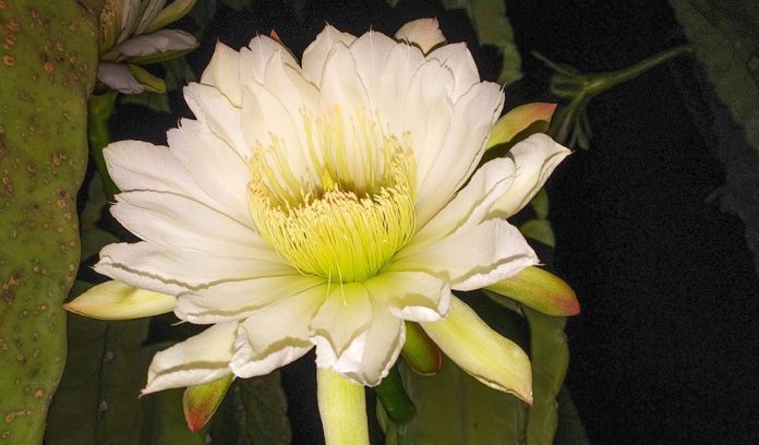 WhatsApp Image 2020-07-01 at