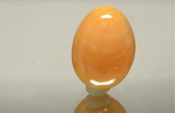 WhatsApp Image 2021-02-06 at 13.41.07