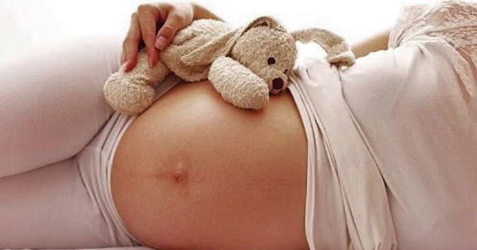 share_big_vida0101-48f