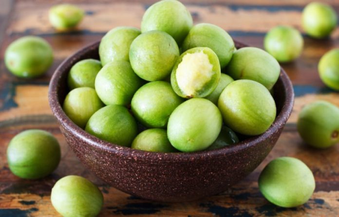 Imagem do WhatsApp de 2024-12-12 à(s) 10.35.24_3e0a8b30