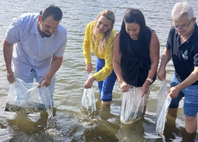 WhatsApp Image 2026-01-22 at 13.49.04