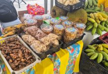 Feira da Agricultura Familiar: Uma oportunidade de renda para produtores rurais de Caucaia