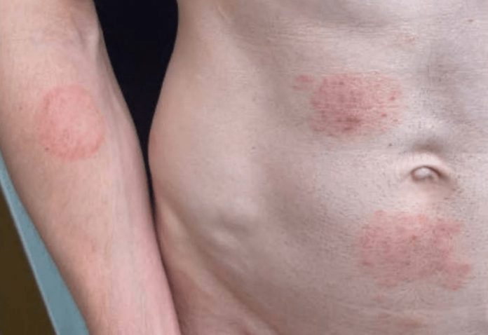 WhatsApp Image 2026-02-16 at 08.30.04