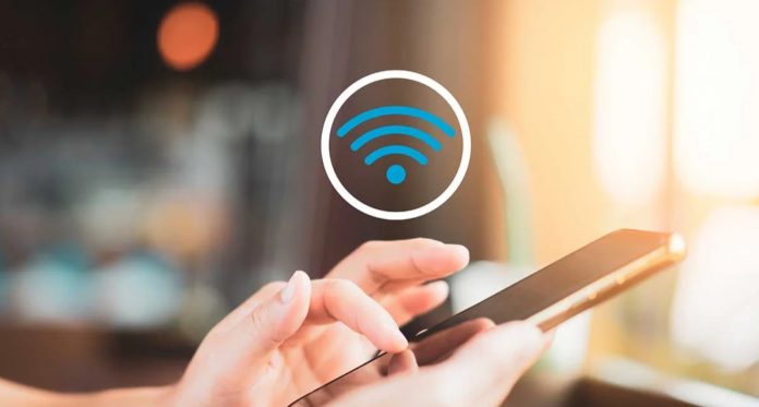 WhatsApp Image 2026-02-19 at 14.20.48