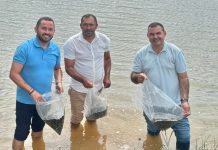 Distribuição de tilápias impulsiona setor de pesca no Ceará