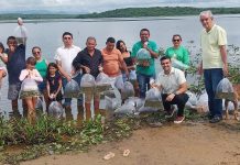Governo do Ceará impulsiona pesca sustentável com soltura de alevinos em São Luís do Curú